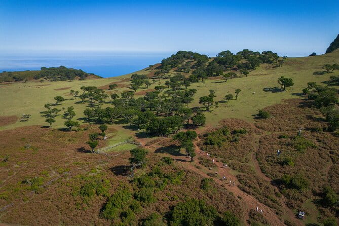 Fanal & Porto Moniz - West Madeira Tour - FAQs