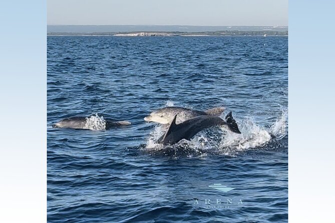 Fantastic DOLPHIN & SUNSET TOUR With Dinner (Pula - NP Brijuni) - Discover Brijuni National Park