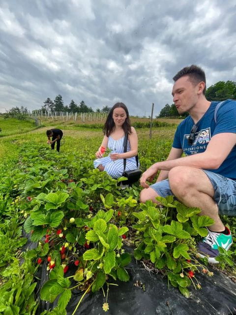 FARM STAY EXPERIENCE & DOZZA - Private Day Tour From Bologna - Key points / Takeaways