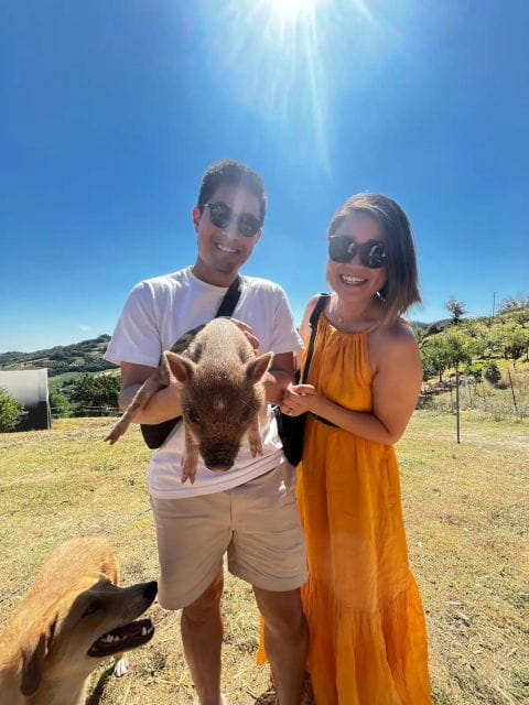 FARM STAY EXPERIENCE & DOZZA - Private Day Tour From Bologna - Exploring the Day: From Bologna to the Mountains to Medieval Charm