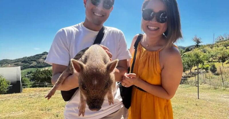 FARM STAY EXPERIENCE & DOZZA - Private Day Tour From Bologna - The Sum Up