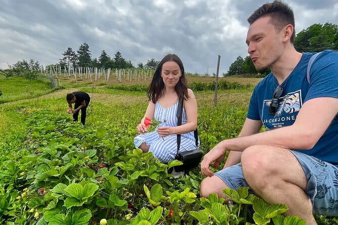 FARM STAY EXPERIENCE & DOZZA - Private Day Tour From Bologna - Key points / Takeaways