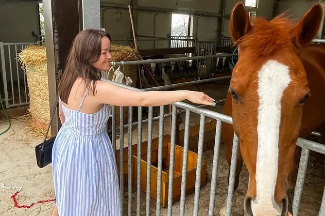 FARM STAY EXPERIENCE & DOZZA - Private Day Tour From Bologna - Dozza: Art, Color, and Medieval Charm