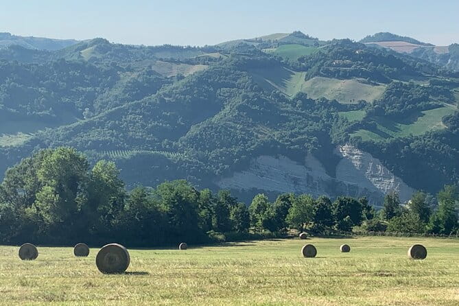 FARM STAY EXPERIENCE & DOZZA - Private Day Tour From Bologna - Returning to Bologna: A Relaxed Afternoon