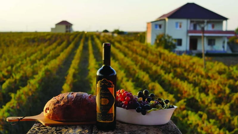 Farm-to-Table Escape: Discover Mrizi i Zanave - What the Tour Includes and How It Works