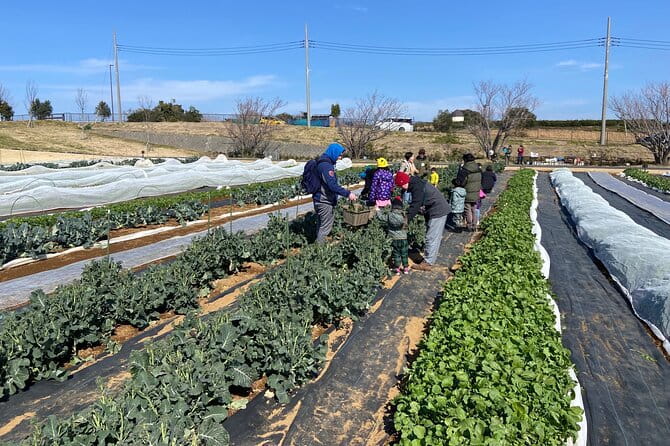 Farm to Table Excursion and Barbecue With a Fresh Seafood - Key Points