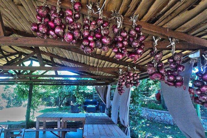 Farm-to-table Food Experience - Tour Schedule and Requirements