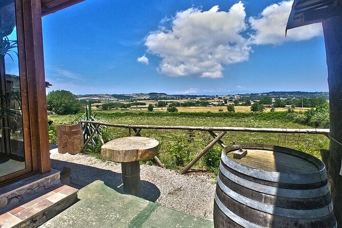 Farm-to-table Food Experience - Dietary Accommodations