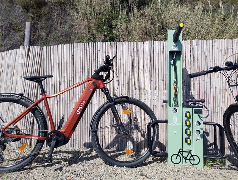 Farmhouse aperitif + electric bike tour in Monterosso al Mare - Key points / Takeaways