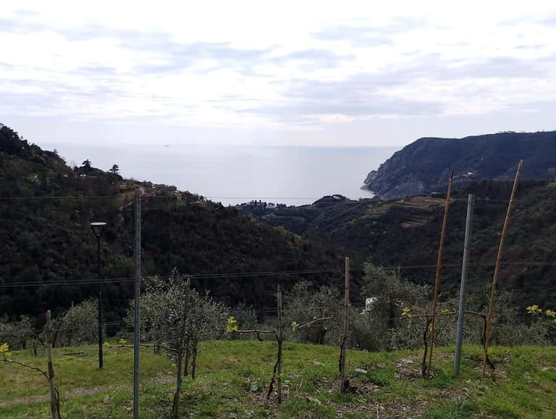 Farmhouse aperitif + electric bike tour in Monterosso al Mare - Easy Return and Flexibility