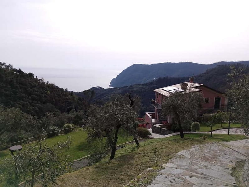 Farmhouse aperitif + electric bike tour in Monterosso al Mare - Price and Value