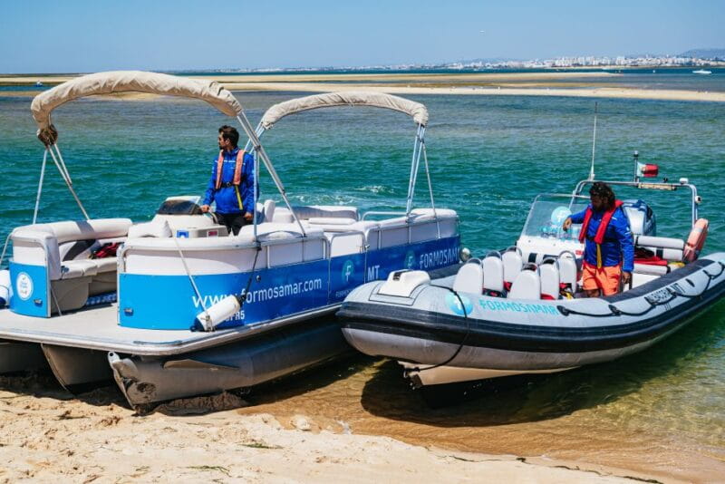 Faro: Deserta Island and Farol Island Catamaran Boat Trip - Who Will Love This Trip?
