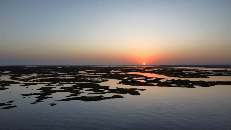 Faro: Half Day Private Tour in Ria Formosa Natural Park - Final Thoughts: Is it Worth Your Time?