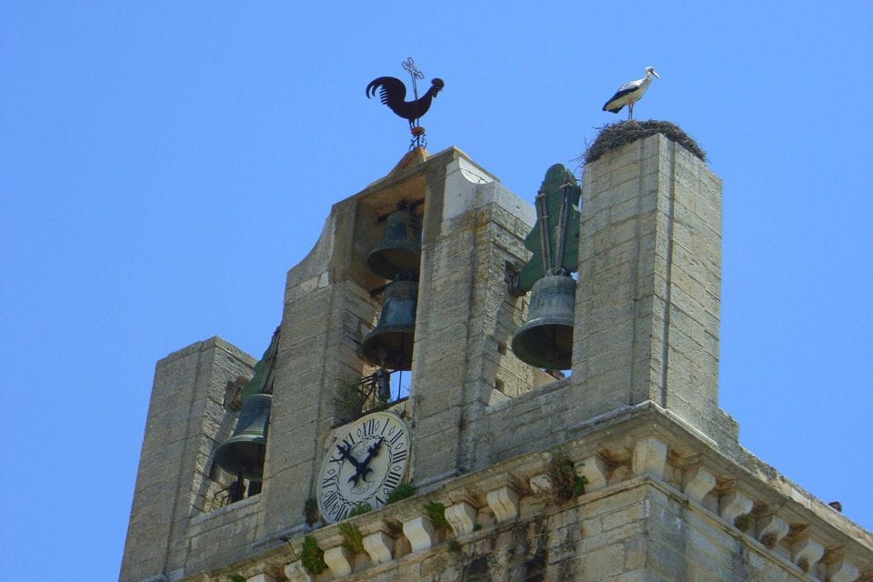 Faro Private Walking Tour - Key Points