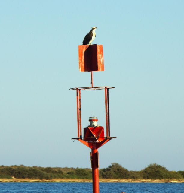 Faro: Real Pudding Boat Tours 6h Boat Tour to Ria Formosa - Itinerary and Experience