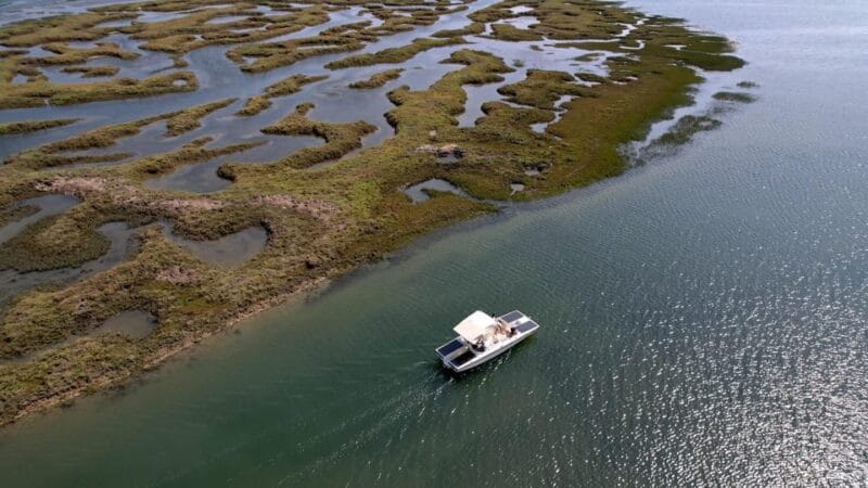 Faro: Ria Formosa Boat Tour by Eco-Friendly Solar Boat - Exploring the Ria Formosa: A Detailed Guide