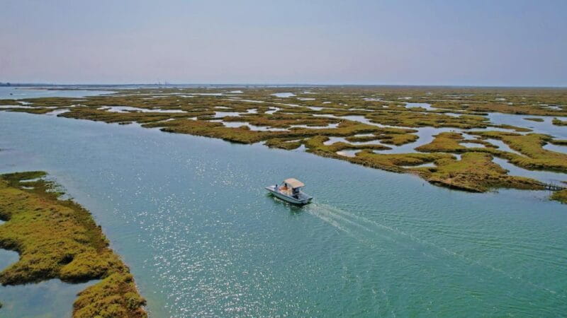 Faro: Ria Formosa Boat Tour by Eco-Friendly Solar Boat - FAQ: Your Practical Questions Answered