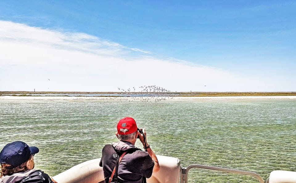 Faro: Ria Formosa Faro Islands Catamaran Tour - Preparation and Important Information