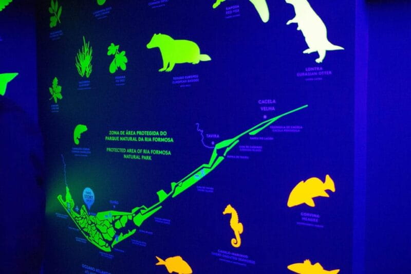 Faro Story Spot - Multimedia Museum&Restaurant: Tour&Tasting - Key Points / Takeaways