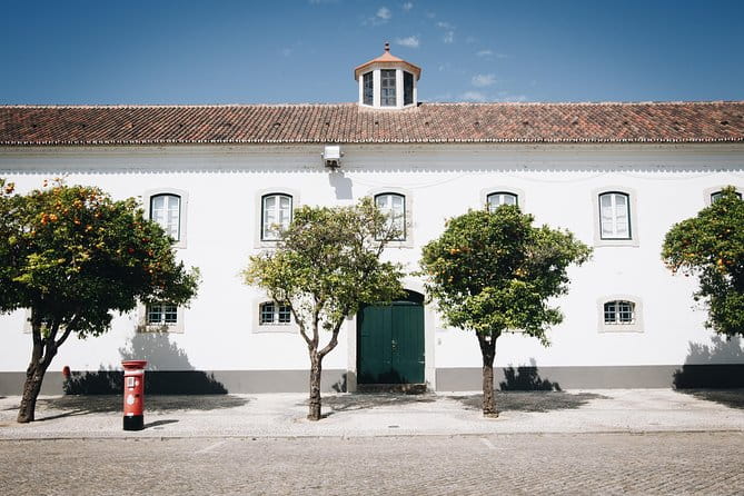 Faro Walking Tour: Uncover the Citys Architectural Legacy - FAQ