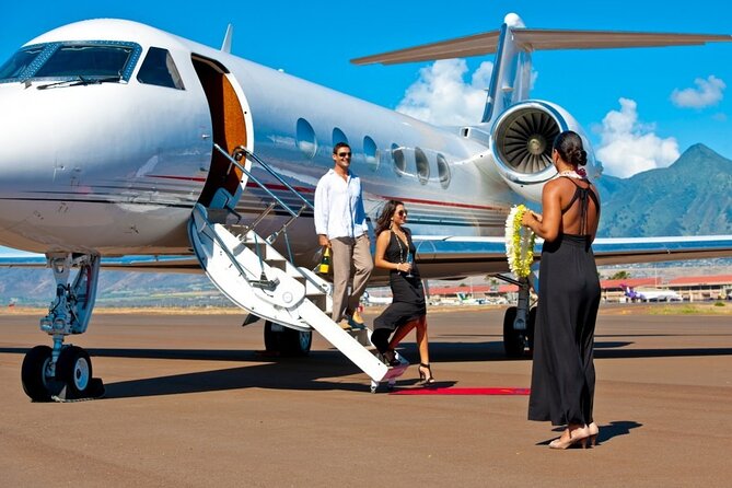 Fast Track On Arrival at St Lucia Airport & Round Trip Transfer - Flight Tracking and Adjustment