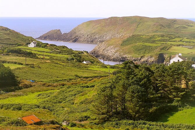 Fastnet Rock Lighthouse & Cape Clear Island Tour from Schull West Cork - Lunch and Free Time on Cape Clear