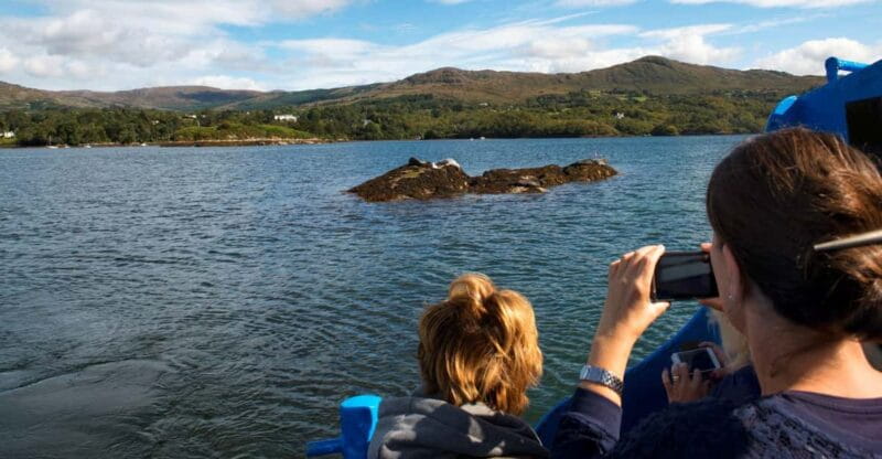 Fastnet Rock Lighthouse direct boat tour-Baltimore.Guided. - Key points / Takeaways