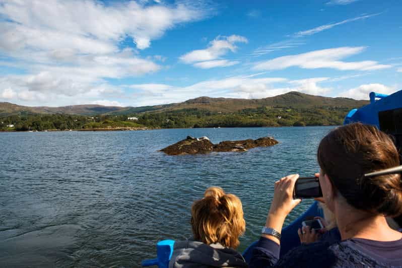 Fastnet Rock Lighthouse direct boat tour-Baltimore.Guided. - Exploring the Experience: What You Can Expect