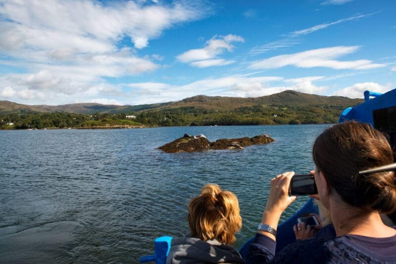 Fastnet Rock Lighthouse direct boat tour-Baltimore.Guided. - The Sum Up
