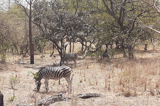 Fathala Wildlife Park - Transportation and Pickup
