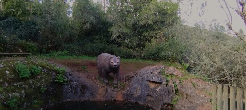 Fátima: Caves & Tradition E-bike Tour - The Practicalities: What’s Included and What to Consider