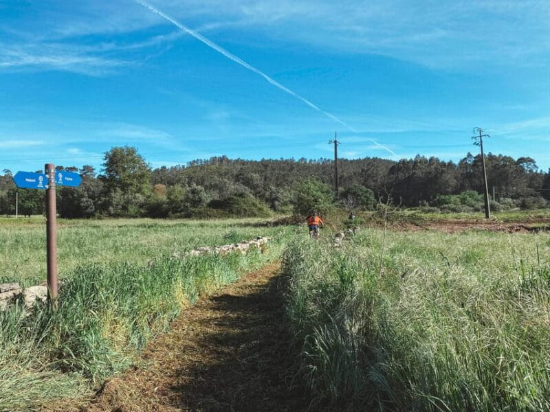 Fátima E-bike tour - Detailed Breakdown of the Itinerary