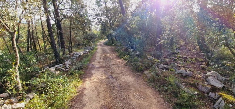 Fátima: E-Bike Tour to Dinosaur Footprints Natural Monument - Exploring the Trails of Serra DAire