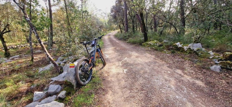 Fátima: E-Bike Tour to Dinosaur Footprints Natural Monument - Practical Details and Logistics