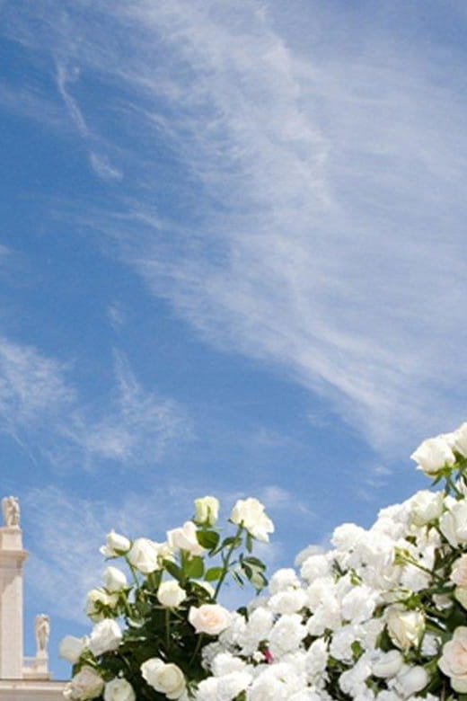 Fátima Holy City Full Day Tour - Who Will Love This Experience?