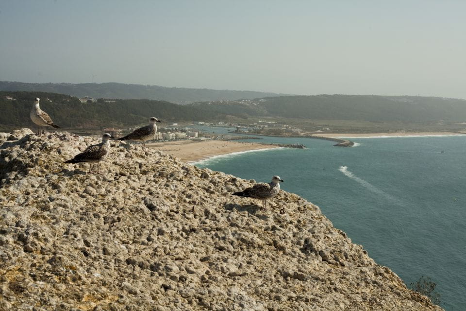 Fatima, Nazaré and Óbidos Full-Day Tour - Fatima Chapel Visit