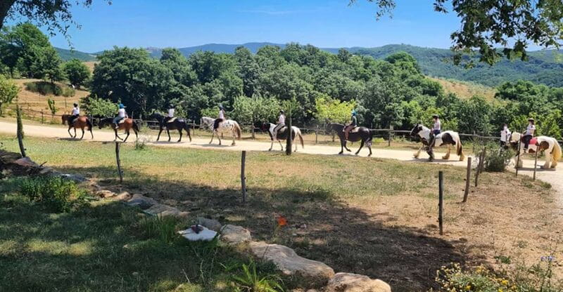 Fattoria Tègoni: horseback riding in Tuscany - Key Points / Takeaways