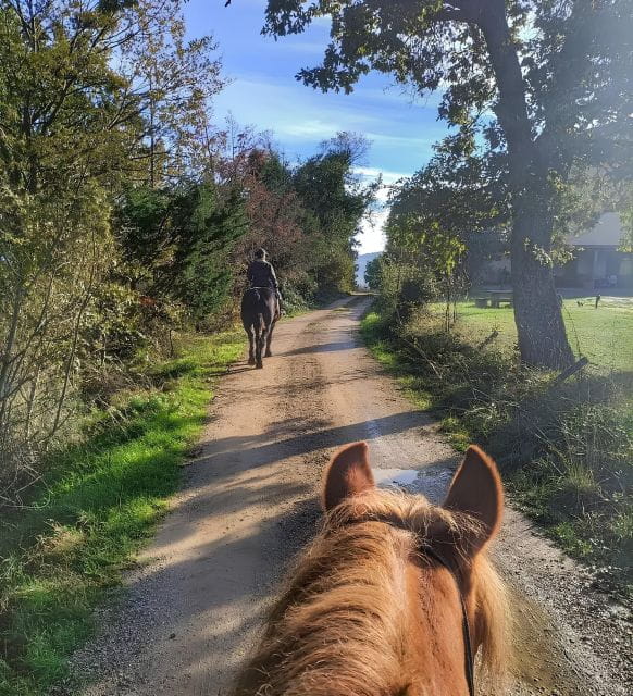 Fattoria Tègoni: horseback riding in Tuscany - The Small Group Advantage and Practical Tips