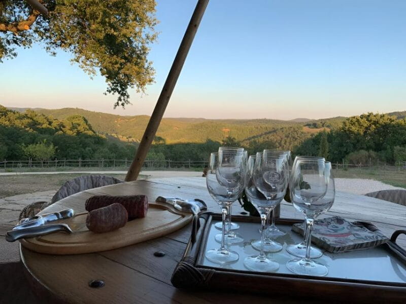 Fattoria Tègoni: horseback riding in Tuscany - Who Will Love This Experience?