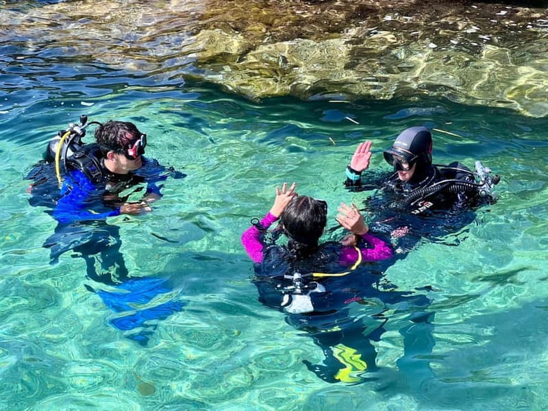 Favignana: Baptism of the sea - Scuba diving trial - Key points / Takeaways