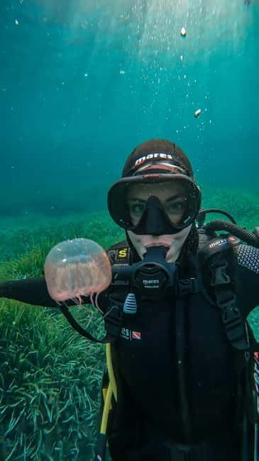 Favignana: Baptism of the sea - Scuba diving trial - Who Is This Experience Best Suited For?