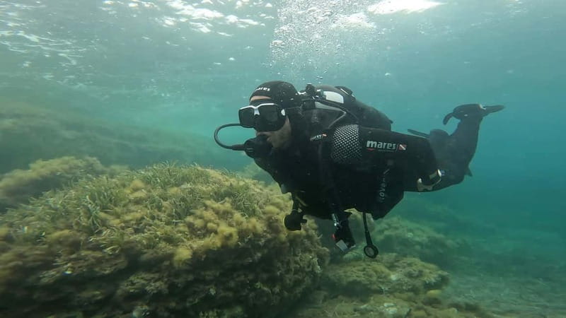 Favignana: Baptism of the sea - Scuba diving trial - The Sum Up: Who Should Book This?