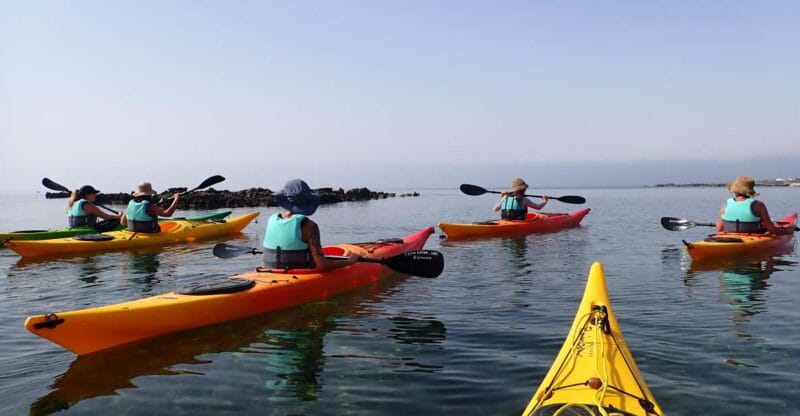 Favignana full-day - Starting Point and Logistics: Easy to Find and Manage