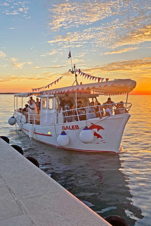 Fazana: Sunset Dolphin Cruise With Dinner in Brijuni Park - Frequently Asked Questions