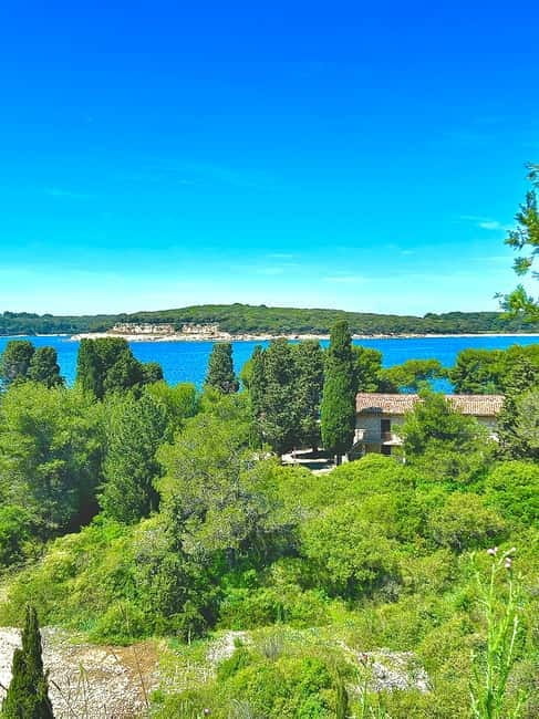 Fazana: Taxi to Sveti Jerolim island - Who Will Love This Experience?