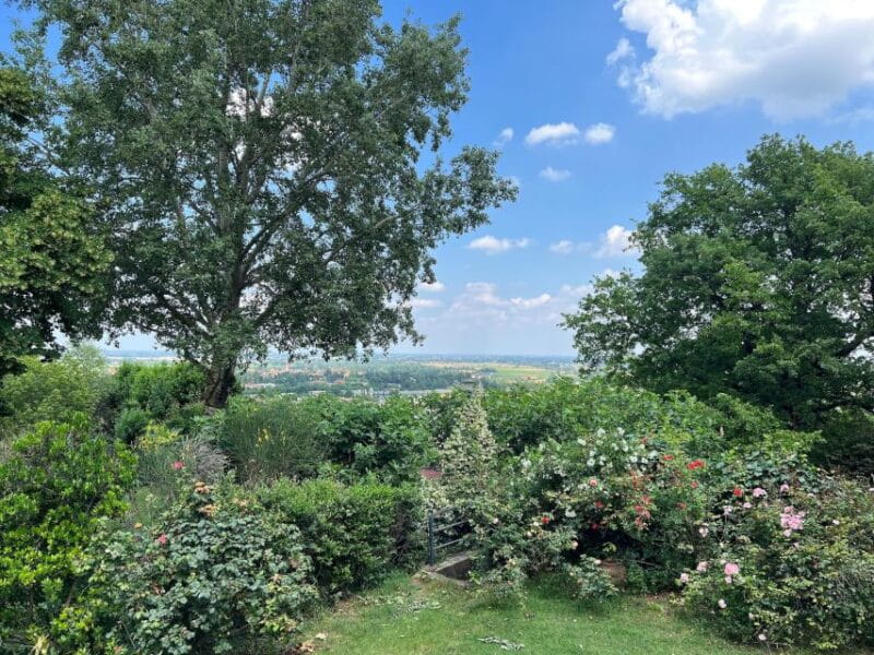 Felsina Culinaria - The Bolognese Cooking Class - Final Thoughts