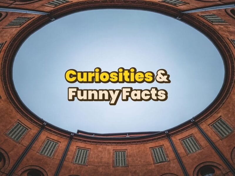 Ferrara: Digital guide made with a Local for your Tour - FAQ