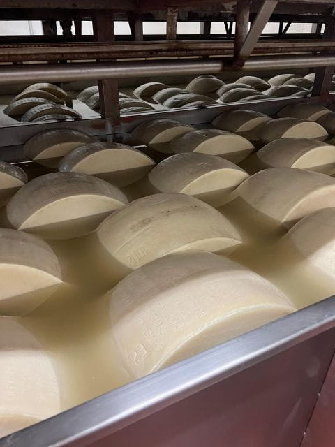 Ferrari Museum, Parmesan Cheese, Balsamic Vinegar Food Tour - Key Points / Takeaways