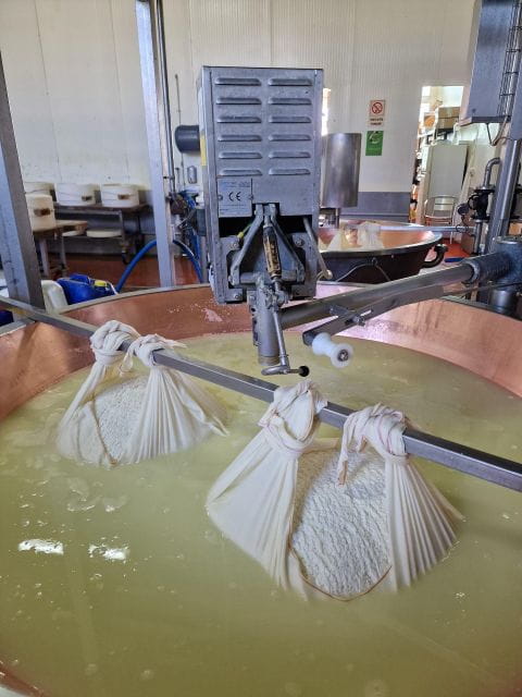 Ferrari, Parmesan and Balsamic Day Tour from Bologna - Logistics, Price, and Overall Value