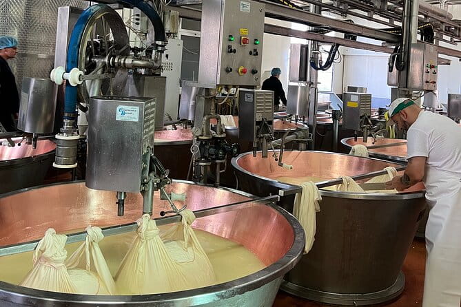 Ferrari, Parmesan and Balsamic Day Tour from Bologna - Key points / Takeaways